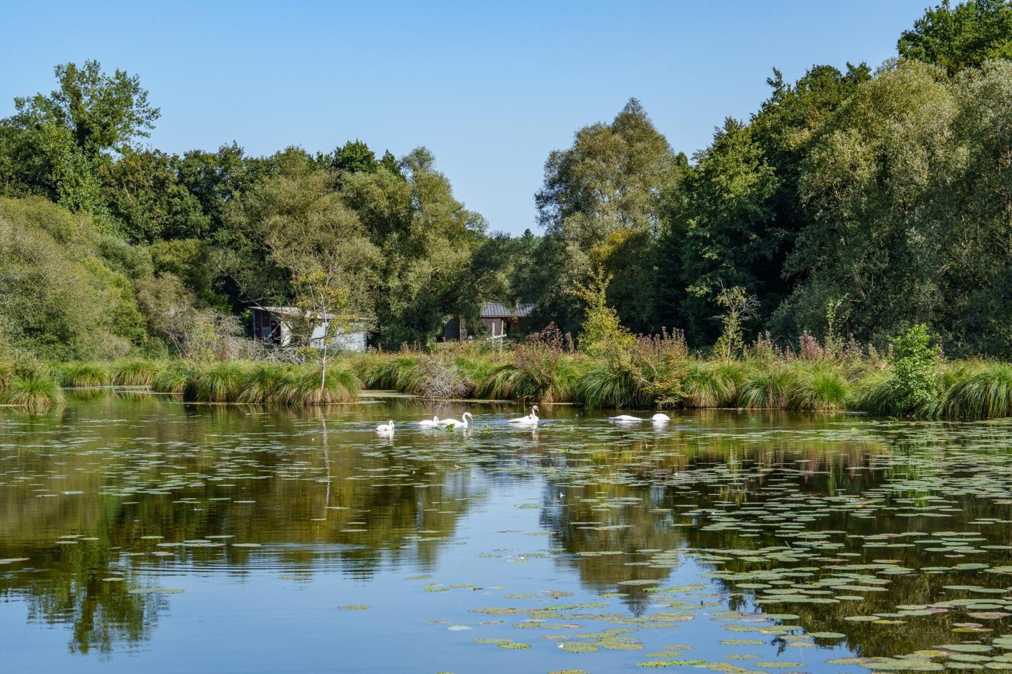 La Cabane Du Pont Du Douet Mazieres-de-Touraine ภายนอก รูปภาพ
